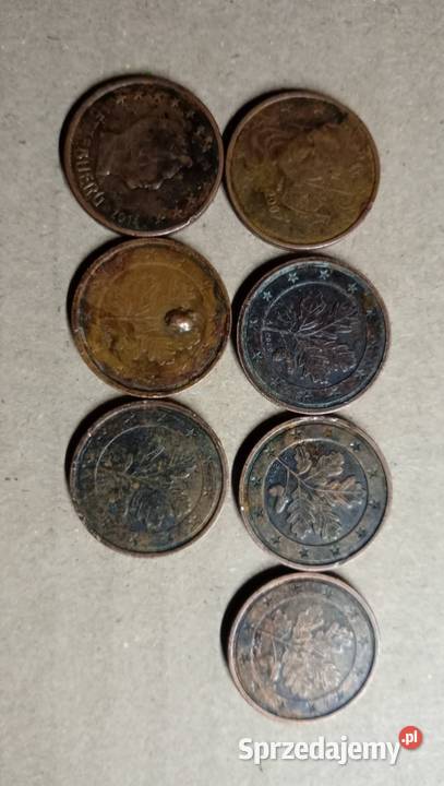 Euro cent mazowieckie Warszawa