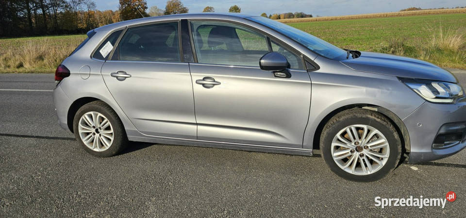 Citroen C4 111 II 2010 elektryczne lusterka wielkopolskie