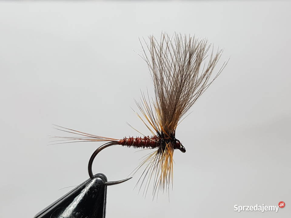 Sztuczne muchy jętki CDC dolnośląskie