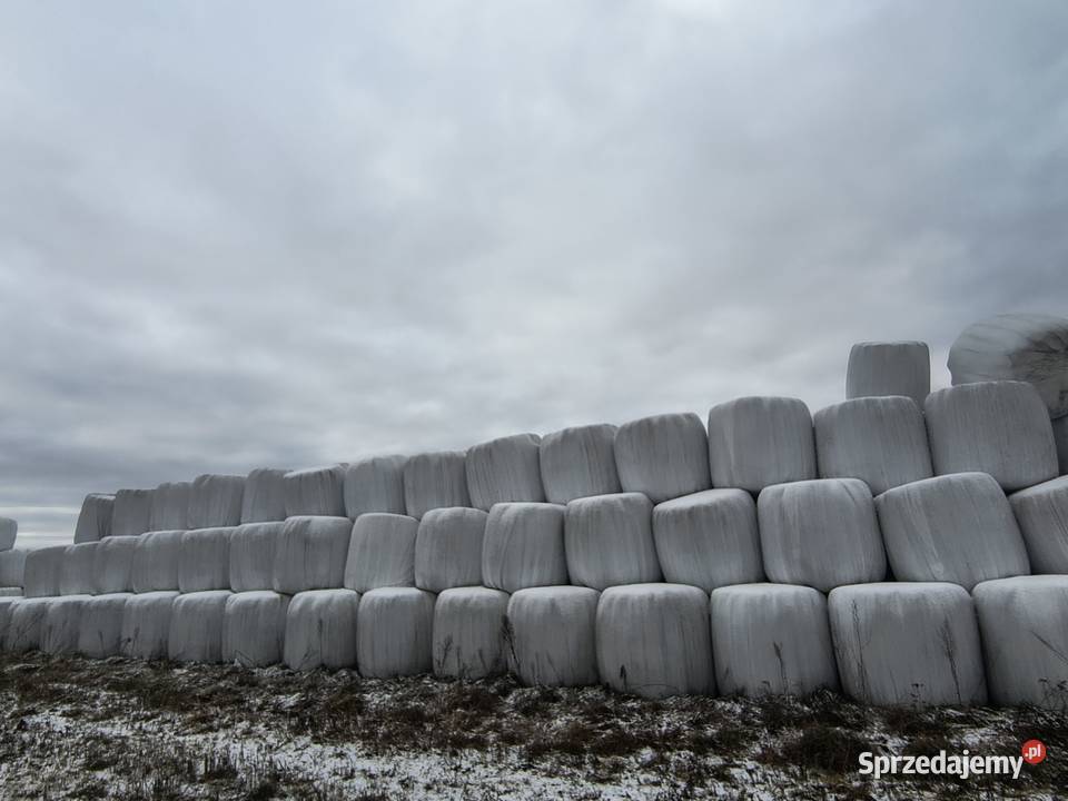 Siano i sianokiszonkę Koniecpol