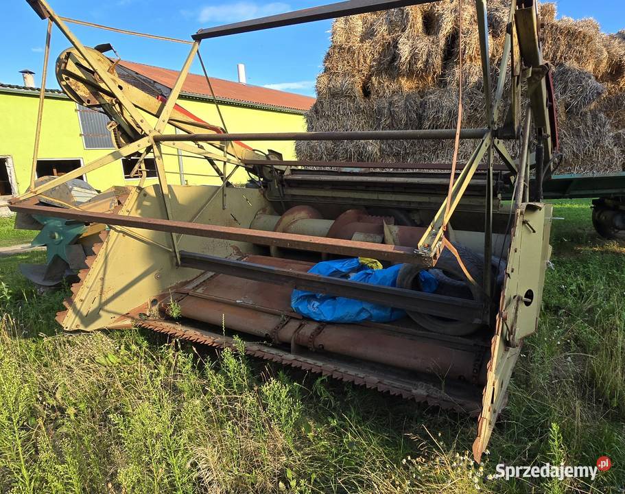 Sieczkarnia Fortschritt E281 heder do kukurydzy kujawsko-pomorskie