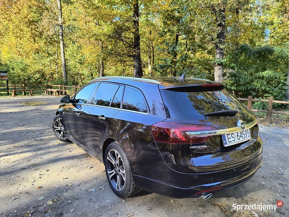 Opel Insignia Sports Toure Grzane wentylowane lakier metallic Skierniewice