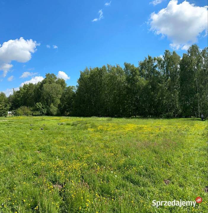 Działka budowlana drodze asfaltowej opolskie Zdziechowice
