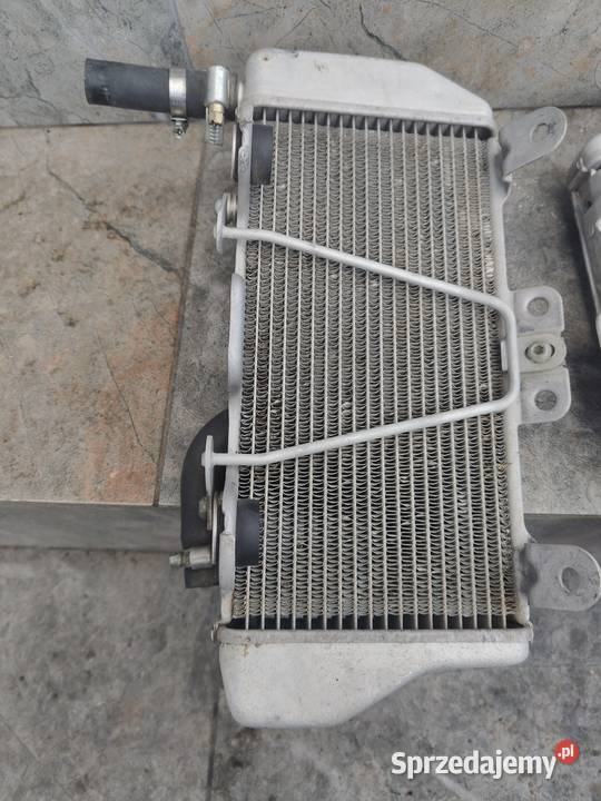 Chłodnica wody prawa lewa YZF 250 wielkopolskie