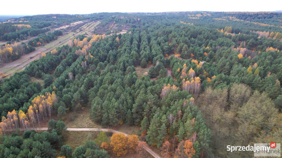 Działkę sprzedam 33800m Kajetanówka