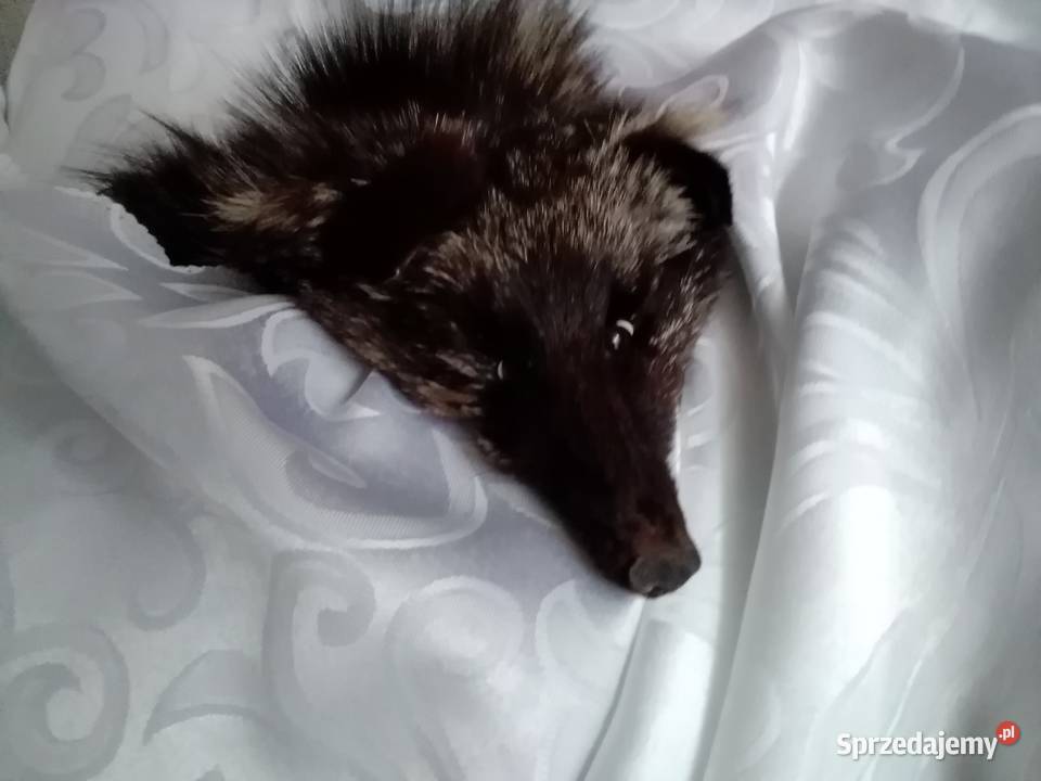 naturalne futerko damskie z lisa Łódź sprzedam