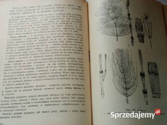 Botanika techników leśnych Obmiński 1959 Łódź
