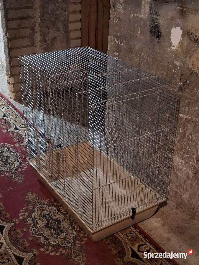 Klatka zwierząt Warszawa