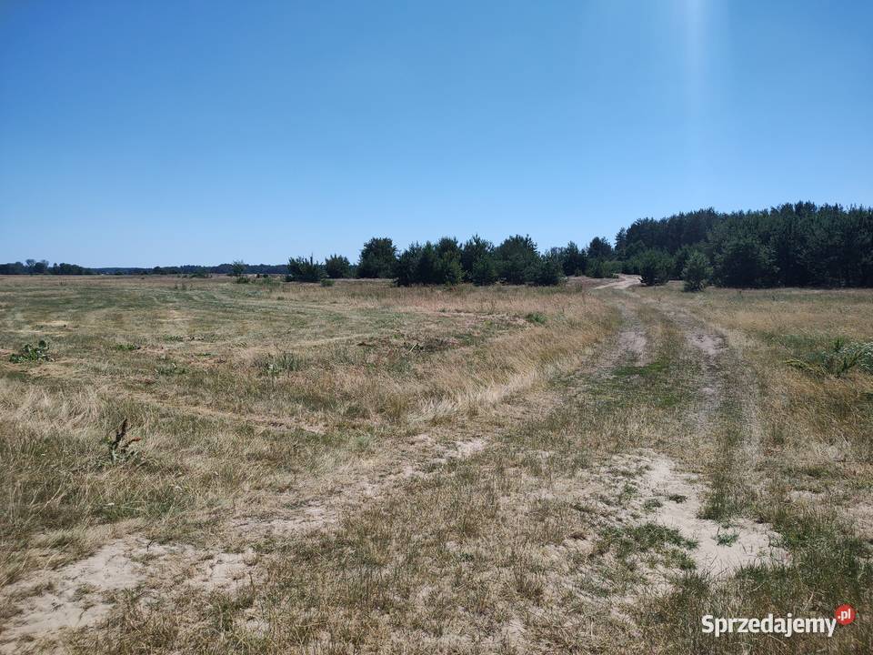Działka z Potencjałem Rzeka Narew 8400m2 rolna Sprzedaż Targonie Wielkie