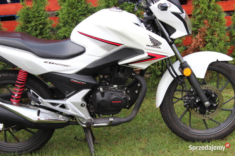 HONDA CBF 125 2019 Raty na telefon zamiana dowóz zachodniopomorskie Goleniów