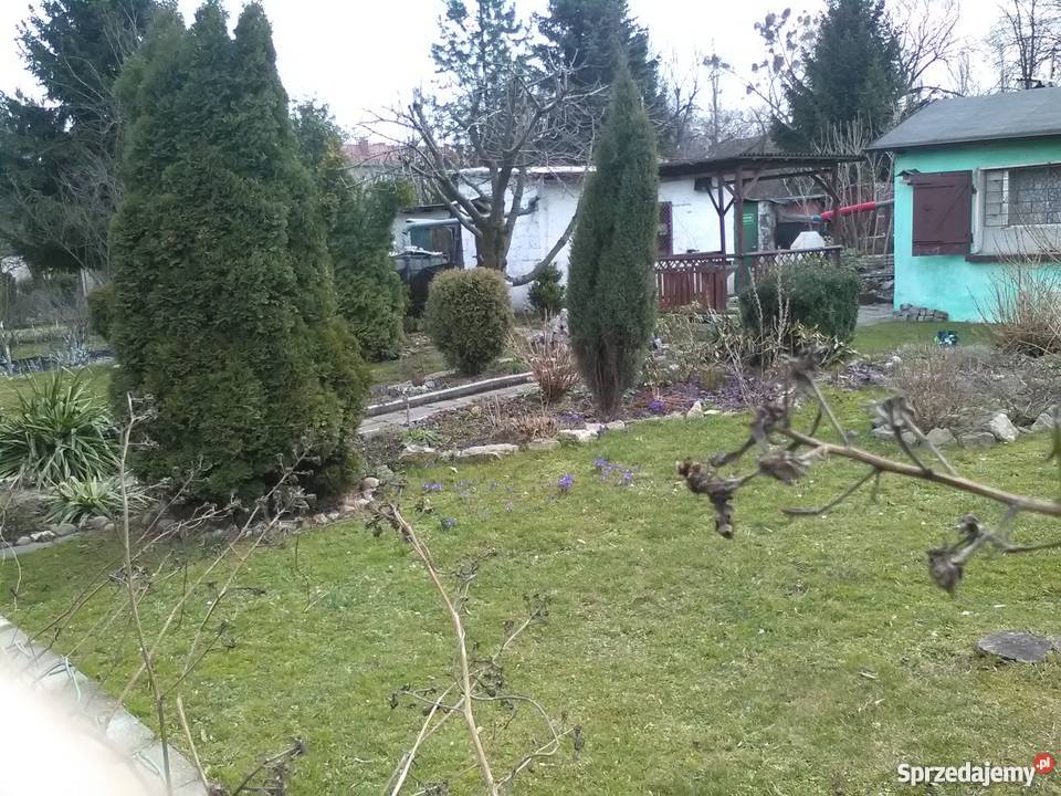 Sprzedam Ogródek działkowy Bytom Łagiewniki Rod asfalt
