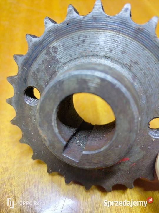 Zębatka 24 zęby panonia Łubno