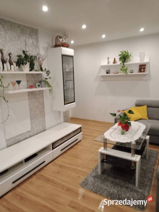 Sprzedam mieszkanie Liczba pokoi 2 Nieruchomości świętokrzyskie