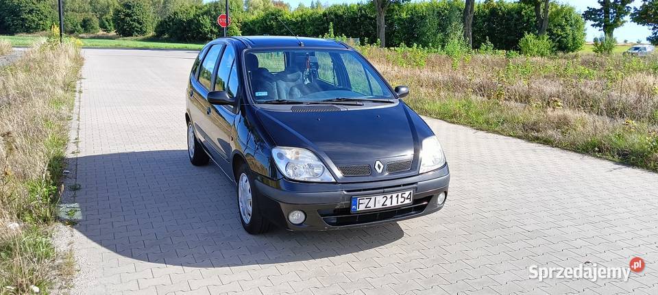 Renault Megane Scenic 19 DTI Klimatyzacja Hak welurowa tapicerka lubuskie Żary