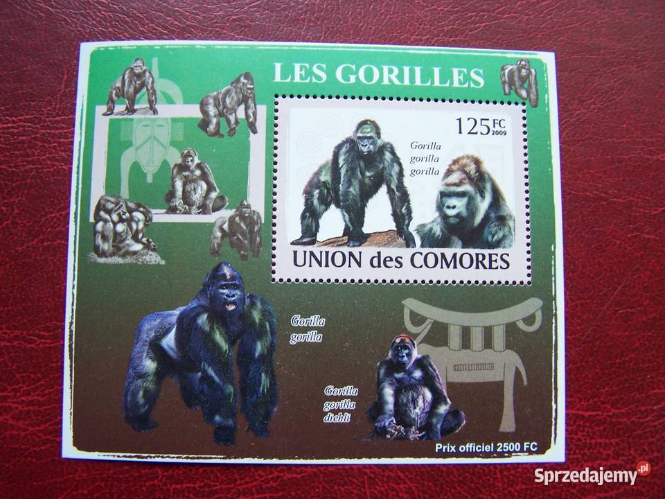 Komory 2009 MNH Fauna Goryle Nakład 2500 Tychy