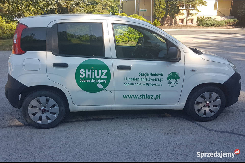Fiat Panda Van sprzedaż w trybie przetargu benzyna Panda kujawsko-pomorskie Bydgoszcz