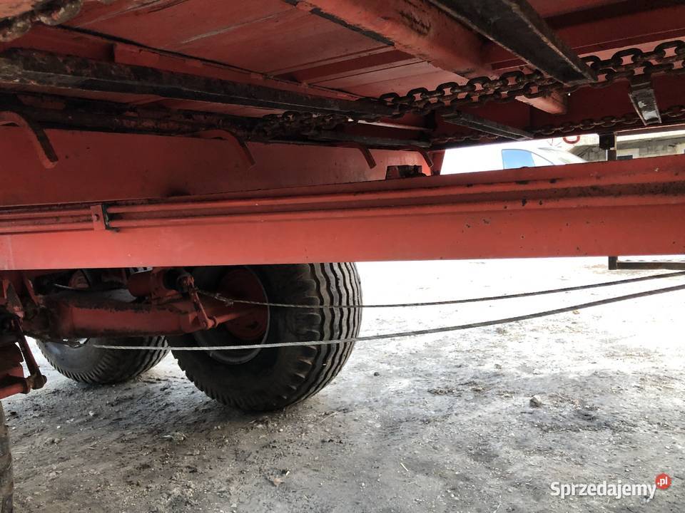 Rozrzutnik ursus n2661 walfarma