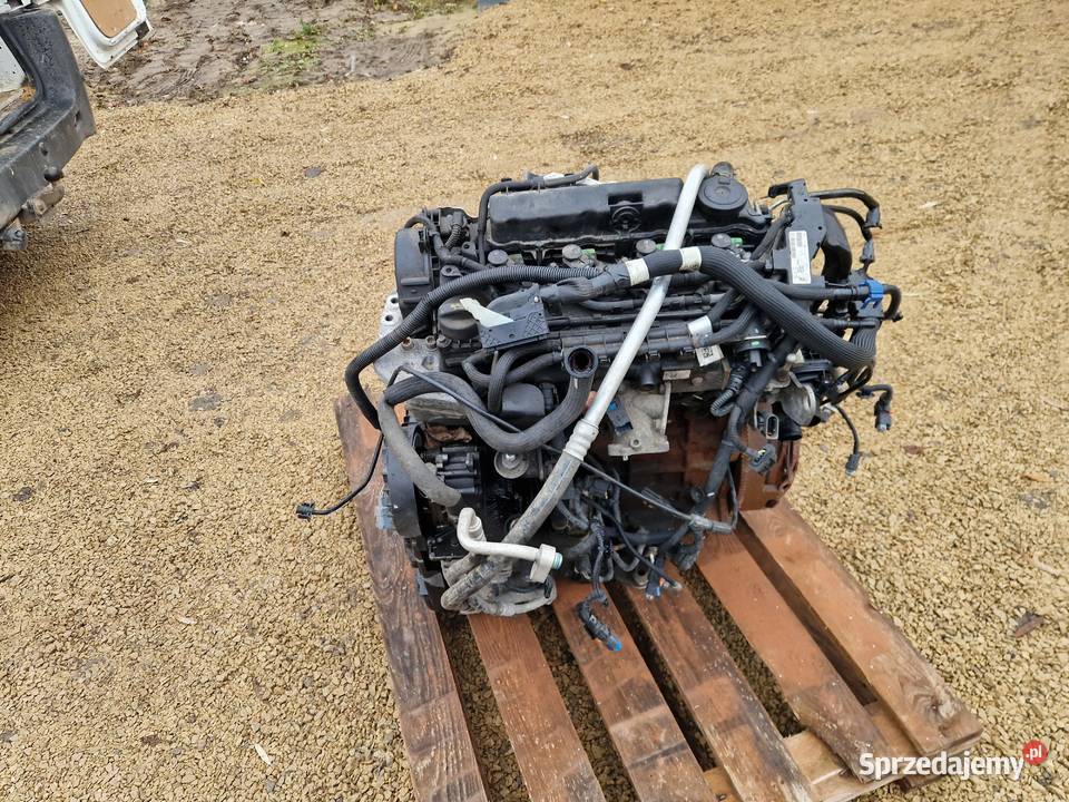 silnik PSA DW10FU pochodzi z Boxera przywieziony łódzkie Zelów sprzedam