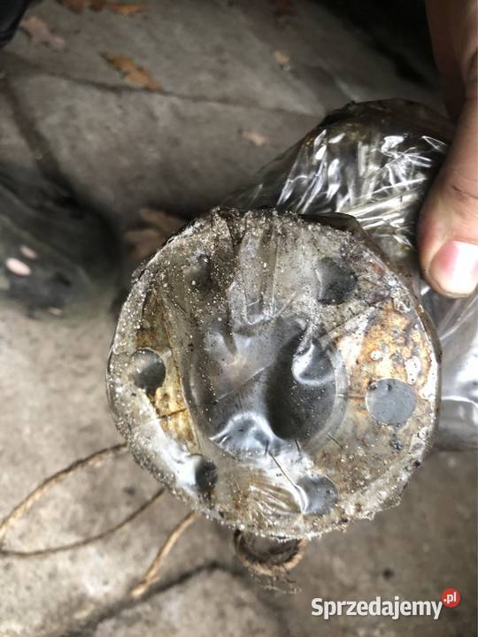 Polonez Fiat 125p nowy wał korbowy silnik 16 mazowieckie Łomianki