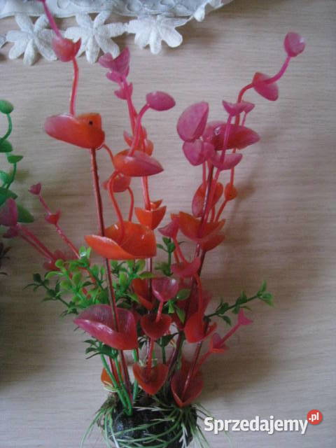 Roślinki akwariowe sztuczne Częstochowa sprzedam