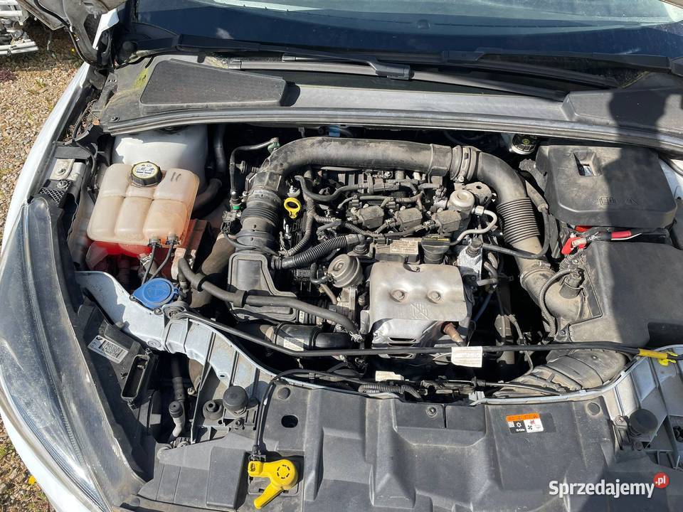 FORD Focus III 10 SCTi 125 EE062 Gdańsk