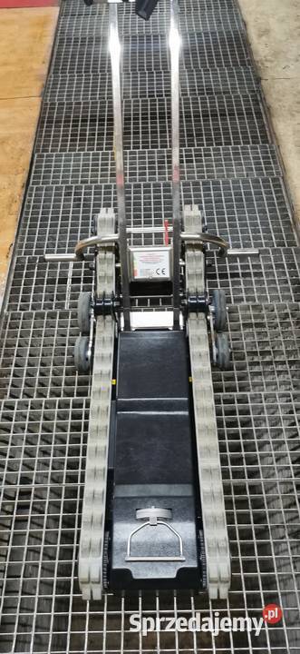 Schodołaz podlaskie