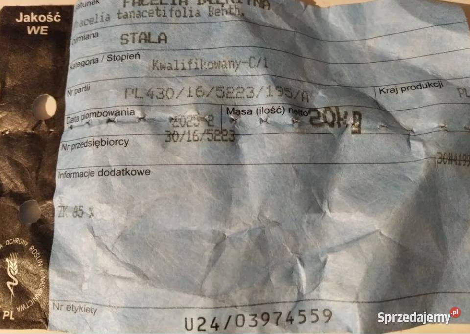 Facelia błękitna pierwwszy zbiór C1 Bukowa sprzedam