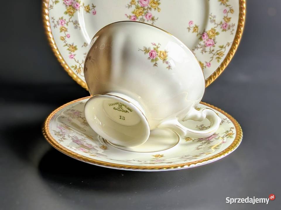 Zjawiskowe Trio Johann Haviland Bavaria Legnica