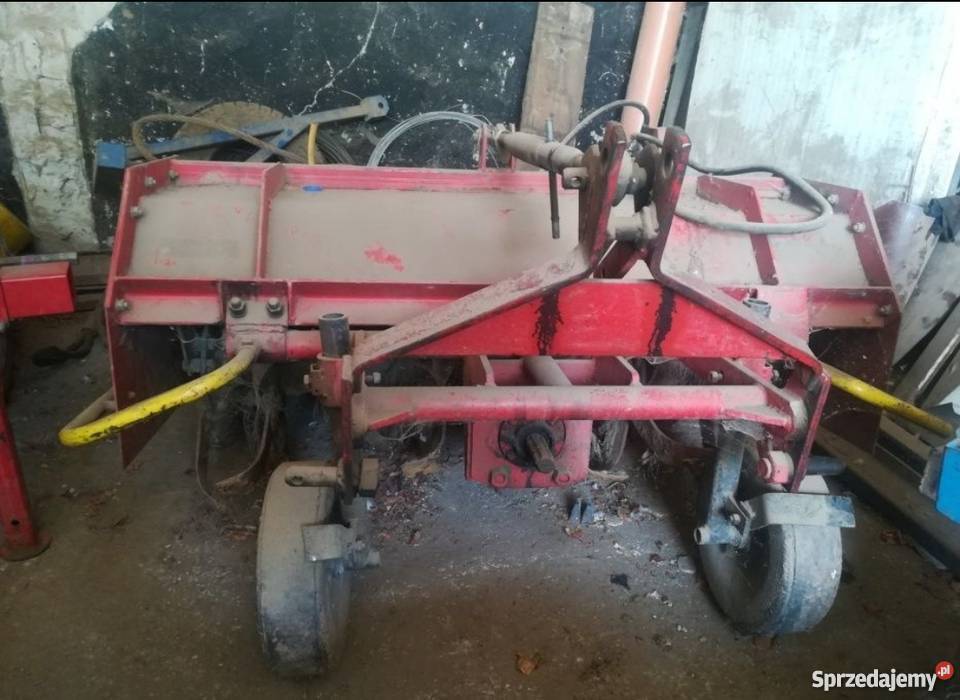 Redliniarka Skalbmierz