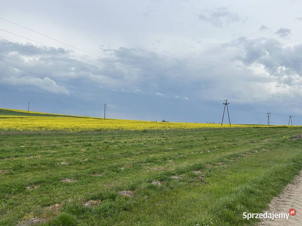 Sprzedam działkę rolną 1100m2 o regularnym rolna lubelskie
