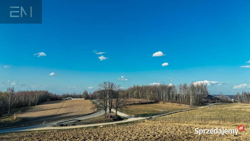 Działka 1765m2 Tyczyn sprzedam