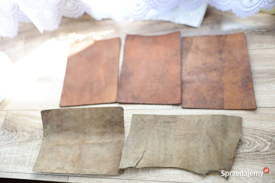 Kawałki skóry naturalnej 5 23 x 17 świętokrzyskie Stąporków