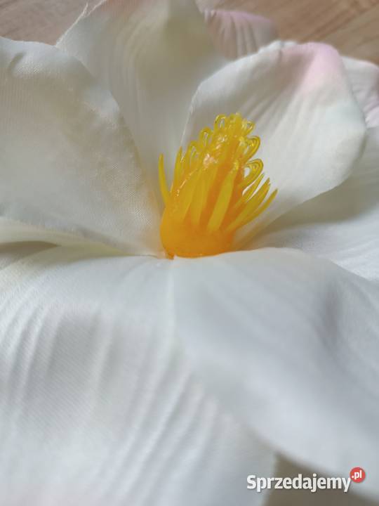 magnolia kwiaty sztuczne różne kolor do Siewierz