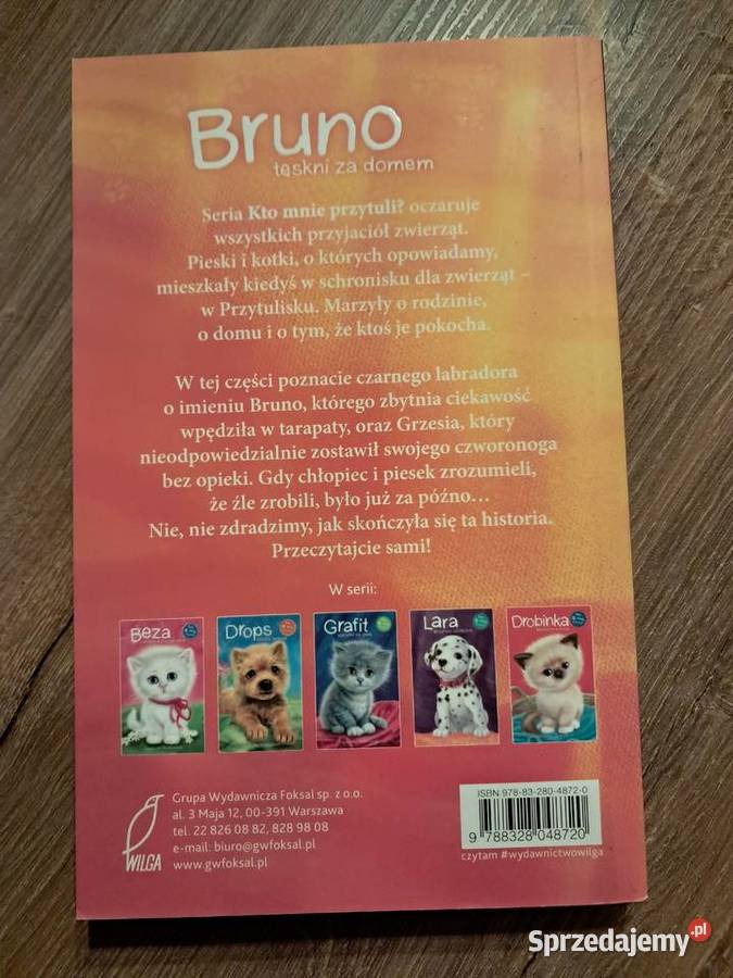 książka Bruno tęskni domem Agnieszki Stelmaszyk Sandomierz