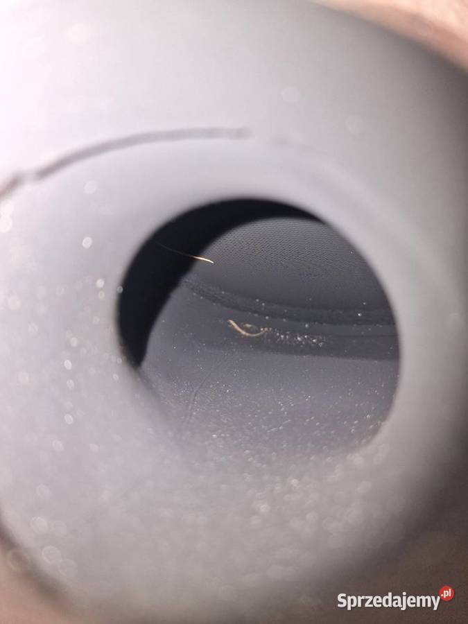 Katalizator vw seat pomorskie Chojnice