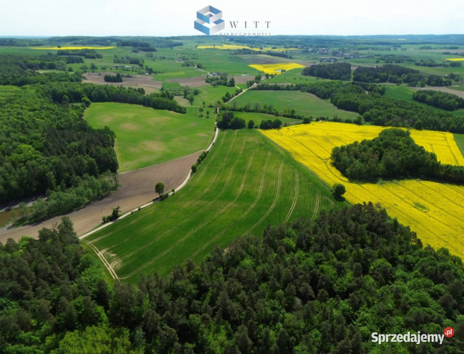 Grunt do sprzedania Rudno 53200m2