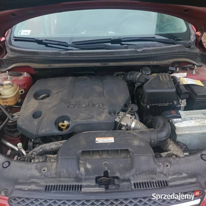 Sprzedam kia ceed Cee'd Pińczyce