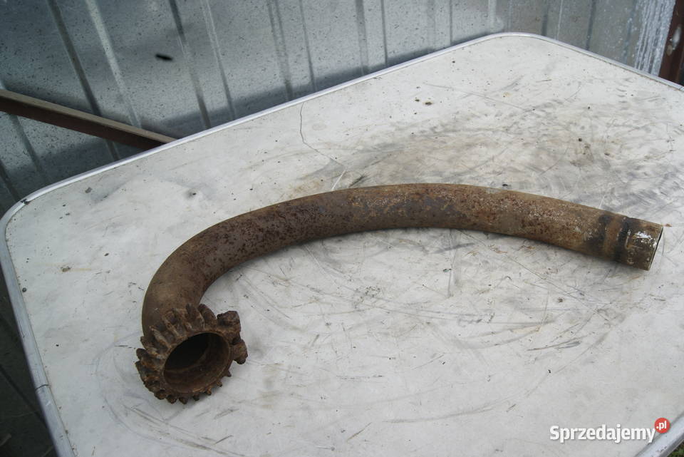 KOLANKO TRIUMPH VICTORIA ARDI ADLER Rybnik