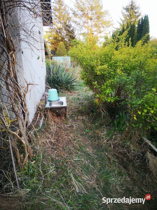 Działki ROD Grochowa nieopodal Piaseczna Sprzedaż Warszawa