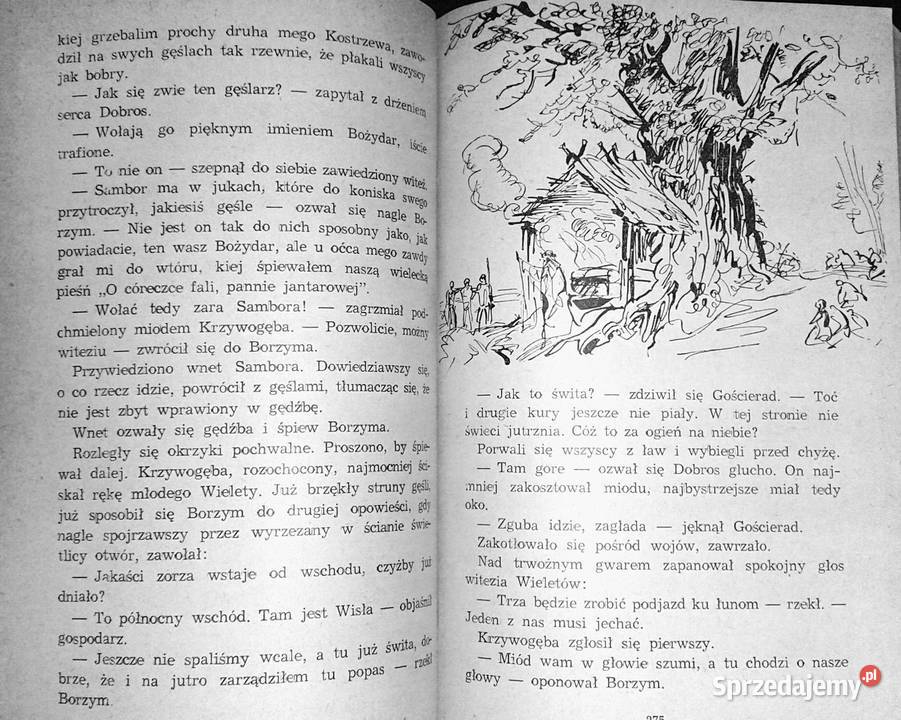 Gorące wici Janusz Teodor Dybowski Rok wydania 1962 Chełm sprzedam
