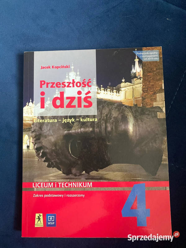 Przeszłość i dziś język polski kl 12 34 Rok wydania 2024 Mielec