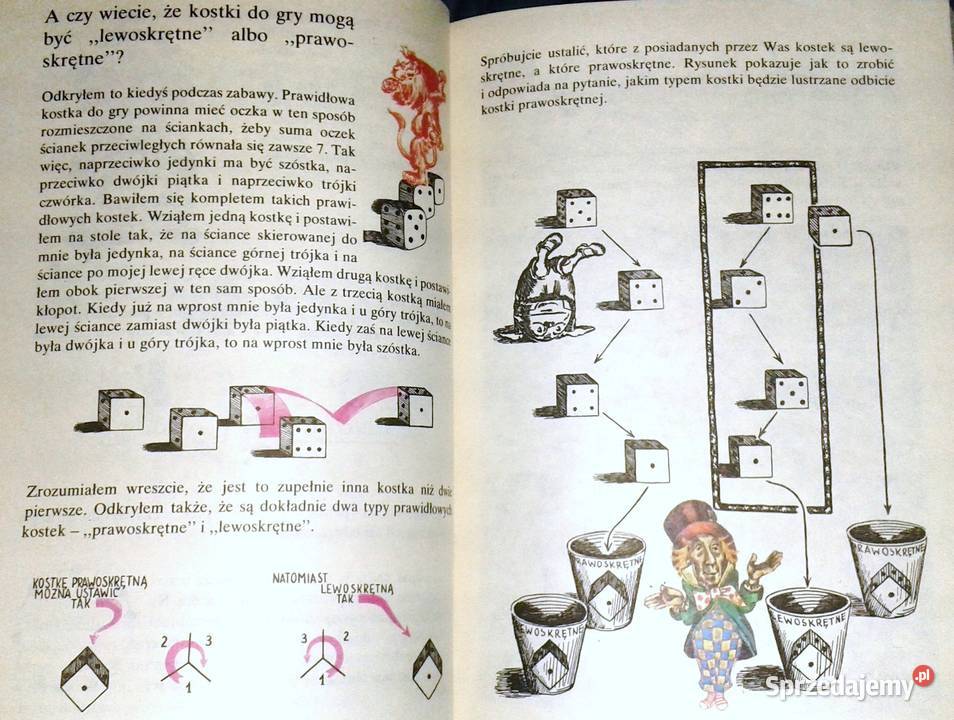 Czy umiecie się dziwić Jerzy Ginter Chełm sprzedam