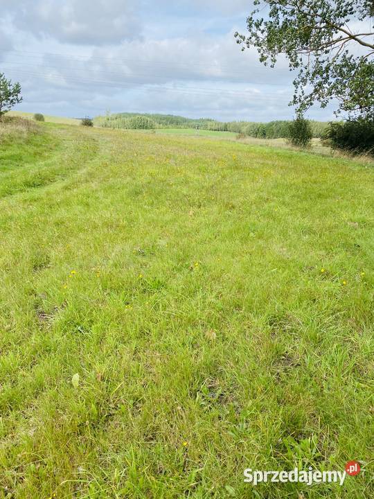 Z pięknymi widokami zachodniopomorskie Łabędzie