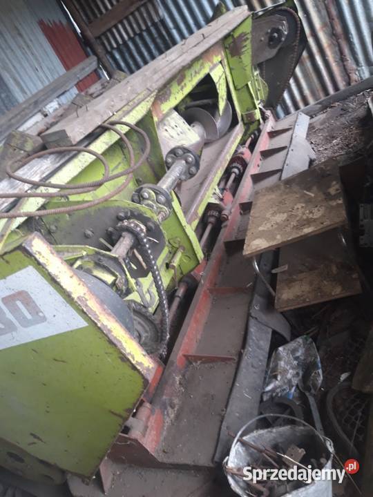 Przystawka do kukurydzy claas 5 rzędowa Leszno