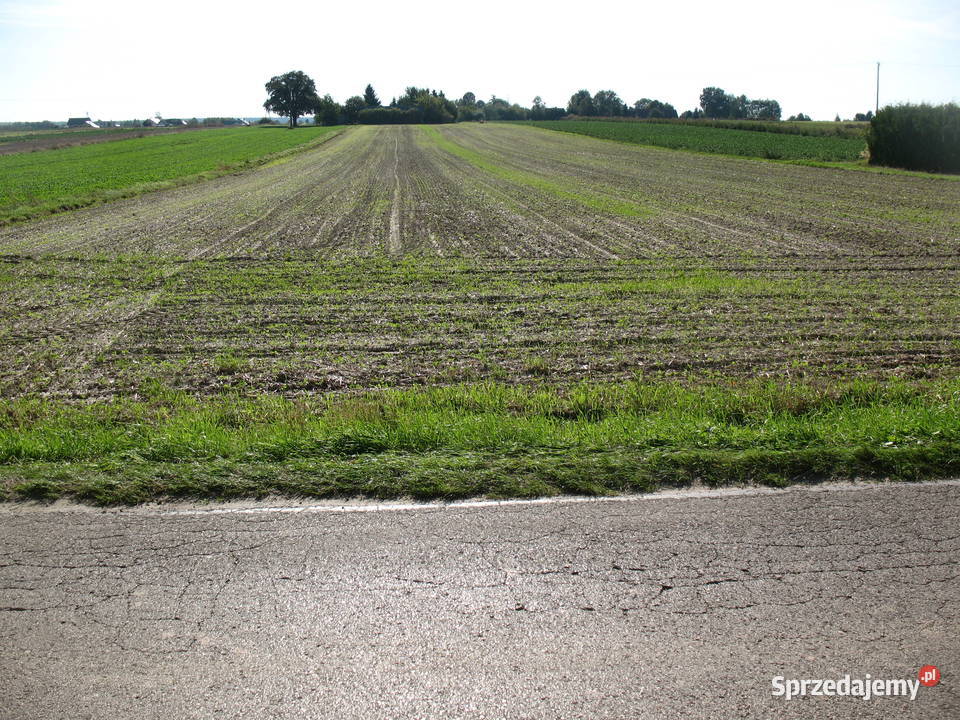 Działka rolno budowlana Lublin
