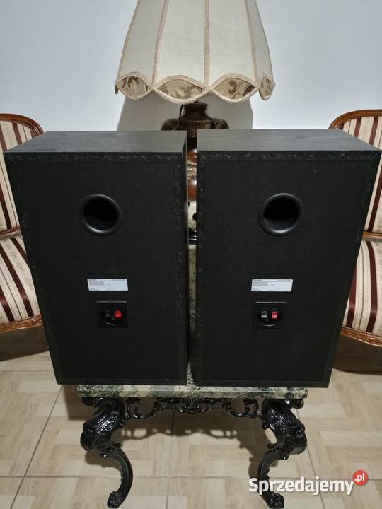 Kolumny SONY 120 Watt Drawski Młyn
