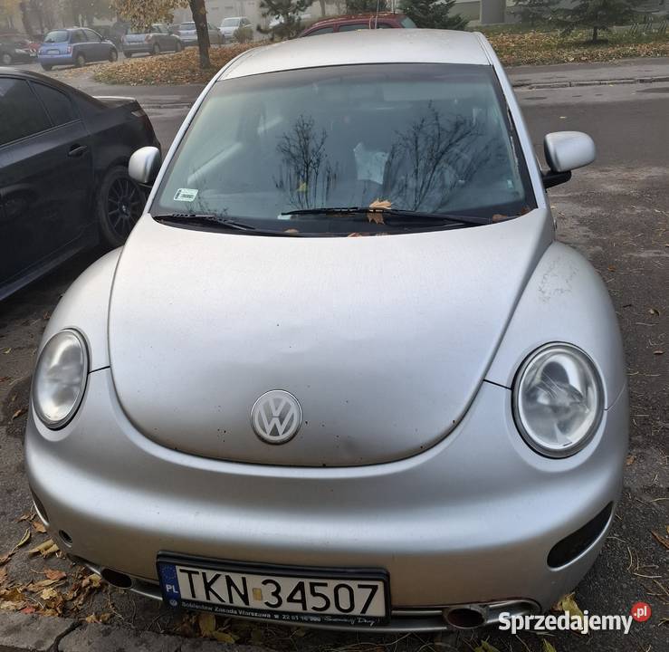 Beetle świętokrzyskie Ostrowiec Świętokrzyski