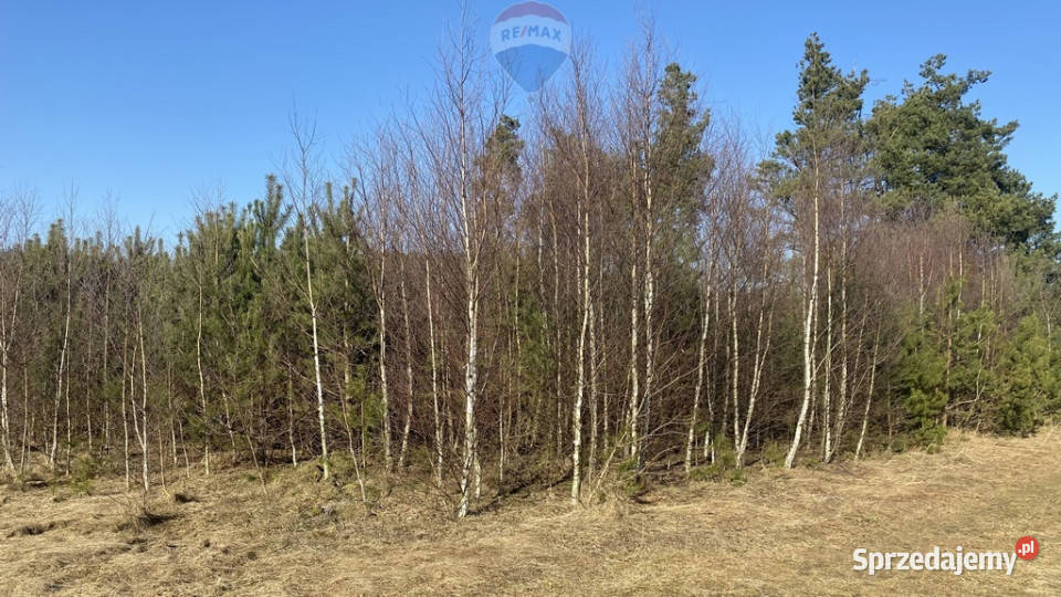 Twój azyl na Kaszubach Sikorzyno sprzedam