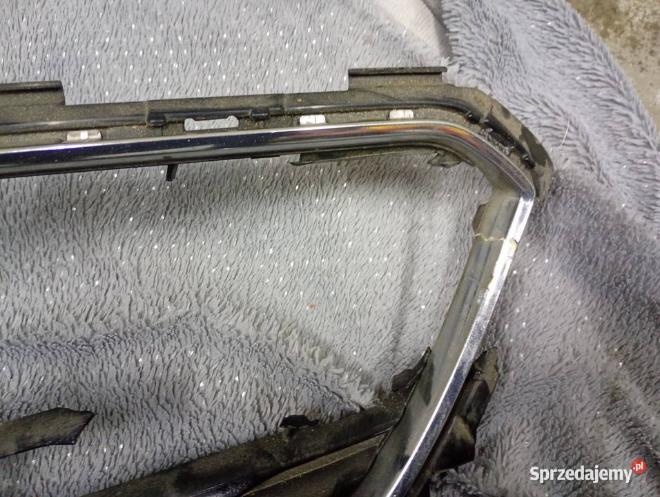 Grill Insignia b Niechanowo