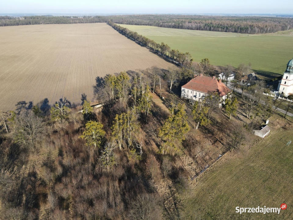 Na Sprzedaż Barokowy Dwór Biskupice Opolskie Radłów